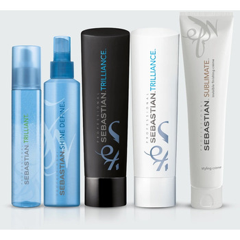 Shine Define shine And Flexible Hold Spray - Sprej pre lesk vlasov